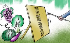 農(nóng)殘速測儀在草莓種植當中有什么應用？